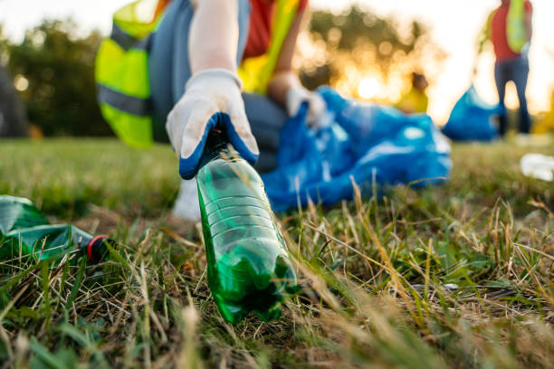 Best Yard Cleanup Services  in South Bloomfield, OH